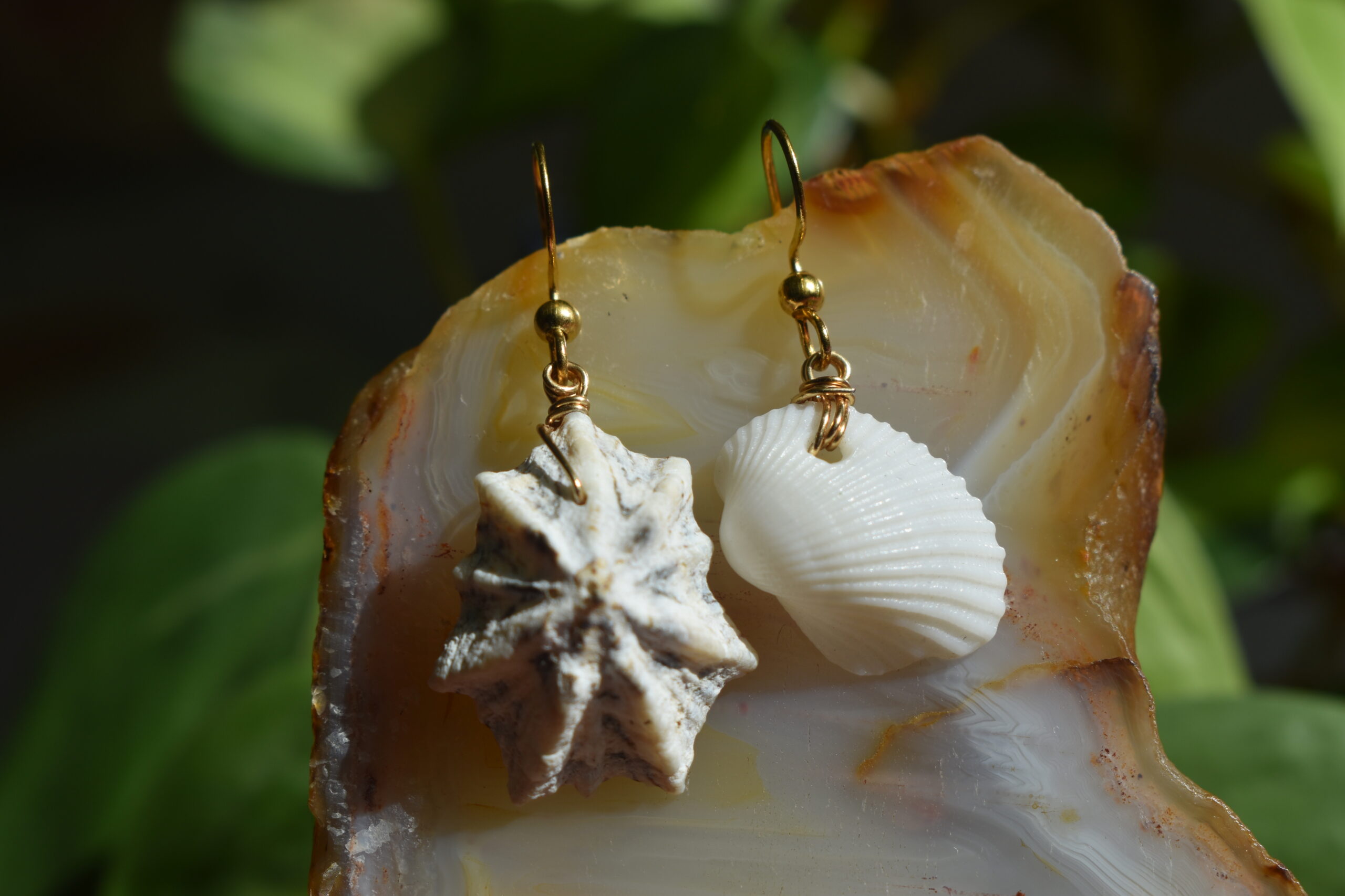 Seashell Earrings - Image 2
